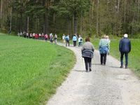 2024-04-29 Gr&uuml;nes Band (2)