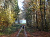 2024-11-03 Rund um Klosterlangheim (7)